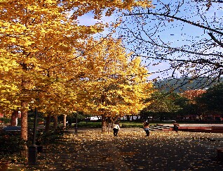 2019年计算机科学与技术学院/科大讯飞人工智能学院硕士研究生专业目录