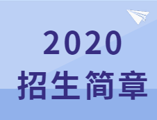 速查：这些院校2020招生简章已经公布！