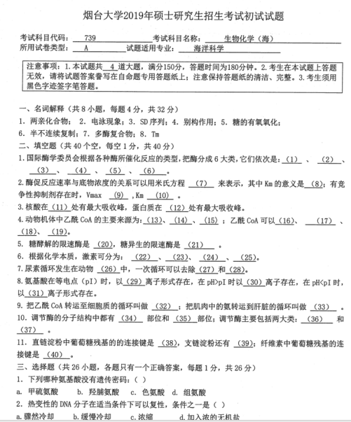 考研真题：2019年烟台大学外国语学院硕士研究生招生考试初试自命题