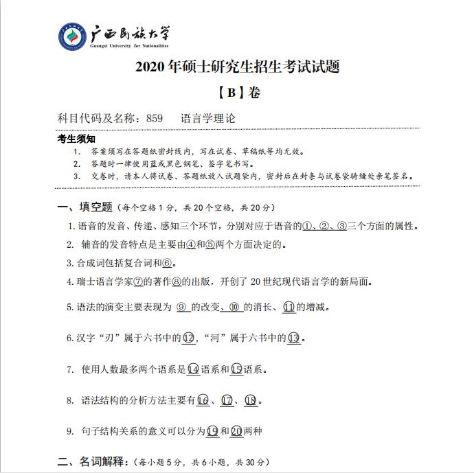 考研真题：广西民族大学2020年硕士研究生招生考试试题859语言学理论